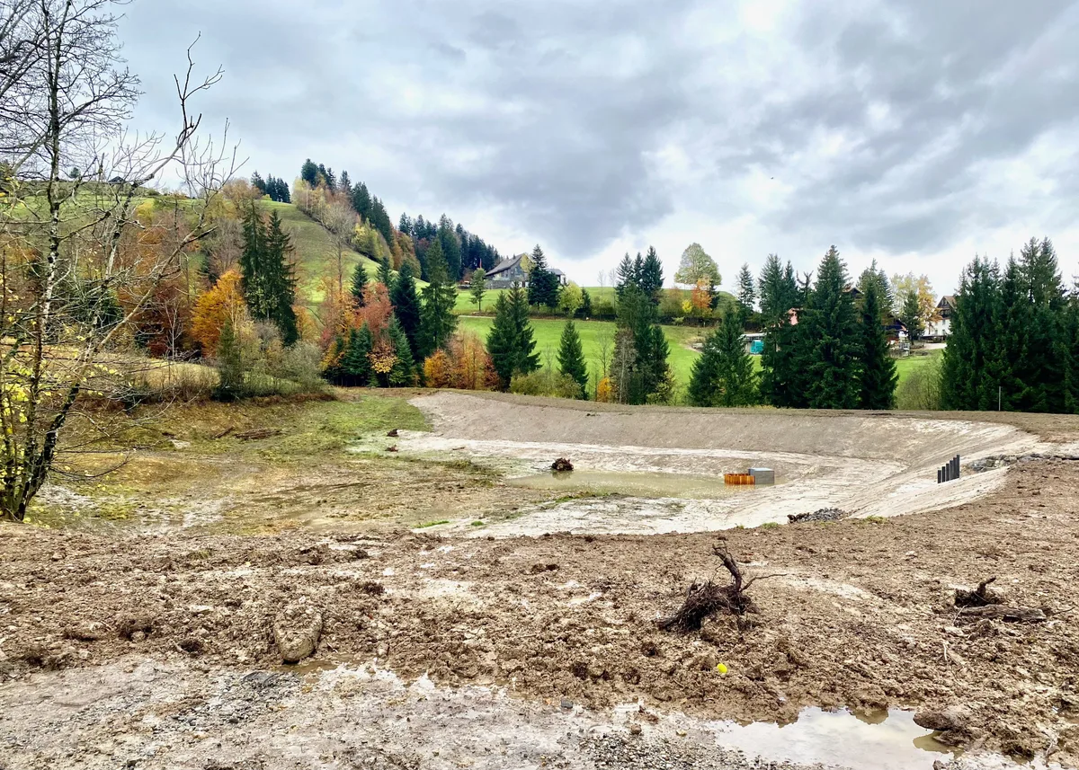 Der brachliegende Weiher, dahinter Herbstbäume.